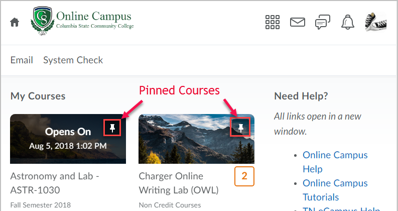 Online Campus - My Home page with pin highlighted